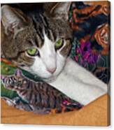 Cat On Cat Quilt Canvas Print