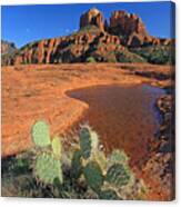 Cathedral Rock Afternoon Canvas Print
