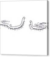 Centipedes In Discussion Cartoon Canvas Print