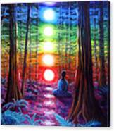 Chakra Meditation In The Redwoods Canvas Print