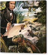 Charles Darwin On The Galapagos Islands Canvas Print