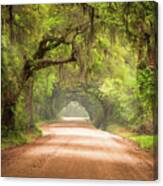 Charleston Sc Edisto Island Dirt Road - The Deep South Canvas Print