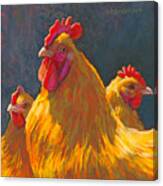 Charlie's Chickens Canvas Print