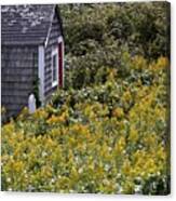 Chatham Shed Canvas Print