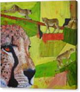 Cheetahs At Play Canvas Print