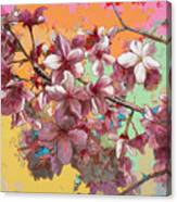 Cherry Blossoms #5 Canvas Print