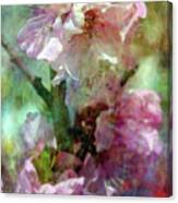 Cherry Blossoms 9309 Idp_2 Canvas Print