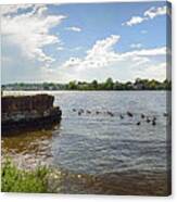 Chester River Pano - Chestertown Md Canvas Print
