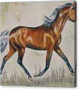 Chestnut Horse Painting Canvas Print