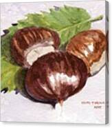 Chestnuts Canvas Print