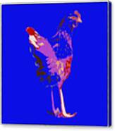 Chicken With Tall Legs Canvas Print