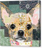 Chihuahua Collage Canvas Print