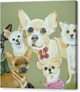 Chihuahuas Canvas Print