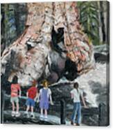 Children At Sequoia National Park Canvas Print