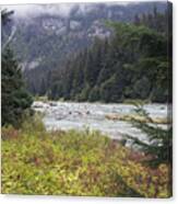 Chillkoot River 3 Canvas Print