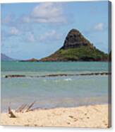 Chinamans Hat Oahu Canvas Print