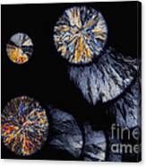 Cholesterol Crystals, Polarized Lm Canvas Print