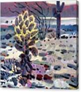 Cholla Saguargo And Ocotillo Canvas Print