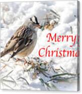 Christmas Sparrow Canvas Print