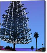 Christmas Tree At Moonlight Beach Encinitas, California Canvas Print