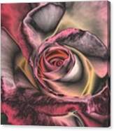 Chrome Rose 368 Canvas Print
