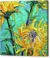Chrysanthemums On Turquoise Palette Knife Impasto Oil Painting Canvas Print