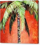 Cinnamon Palm Canvas Print