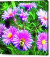 City Flare Pollinating Canvas Print