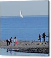 Clamming At Low Tide Canvas Print