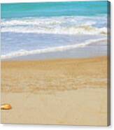 Clashing Waves - Hazzards Beach Canvas Print