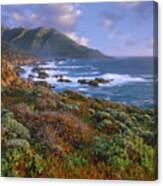 Cliffs And The Pacific Ocean Garrapata Canvas Print