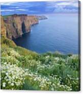 Cliffs Of Moher, Co Clare, Ireland Canvas Print