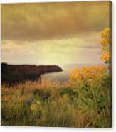 Cliffs Of Moher Canvas Print