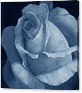 Close To Perfection Blue Canvas Print
