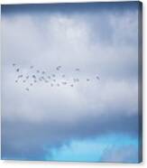 Clouds And Ducks Canvas Print