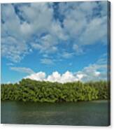 Clouds And Mangroves In Key West Canvas Print