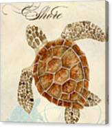 Coastal Waterways - Green Sea Turtle Canvas Print
