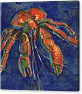 Coconut Crab Canvas Print