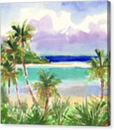 Coconut Palms And Lagoon, Aitutaki Canvas Print