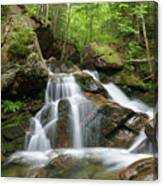 Cold Brook - White Mountains New Hampshire Canvas Print