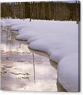 Cold Reflections Canvas Print