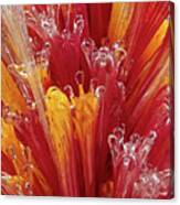 Color Glass Abstract Canvas Print