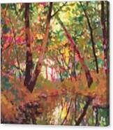 Color Of Forest Canvas Print