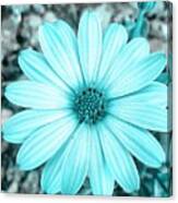Color Trend Blue Blossom Canvas Print