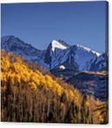 Colorado Aspens At Autumn Canvas Print