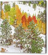 Colorado Is Stunningly Beautiful. Here's One Example Among Countless Others. Canvas Print