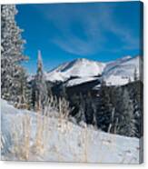 Colorado Winter Beauty Canvas Print