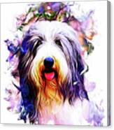 Colorful Bearded Collie Canvas Print