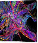 Rainbow Colorful Chaos Abstract Canvas Print