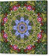 Colorful Kaleidoscope  Circle Canvas Print